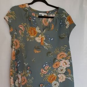 Nice cap sleeve blouse